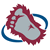 Colorado Avalanche