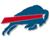 Purchase NFL Buffalo Bills Tickets